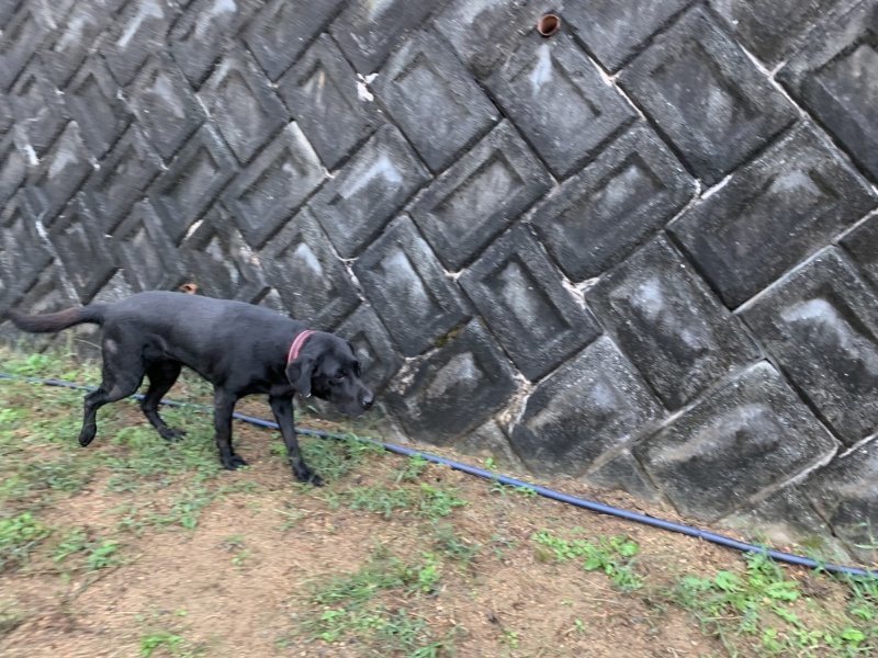 f:id:roukenhome-ann:20191008195619j:plain