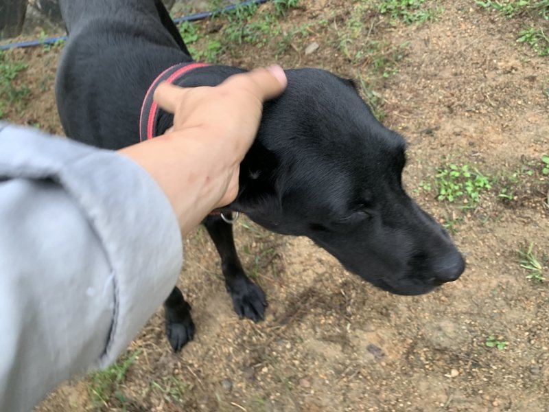 f:id:roukenhome-ann:20191008195625j:plain