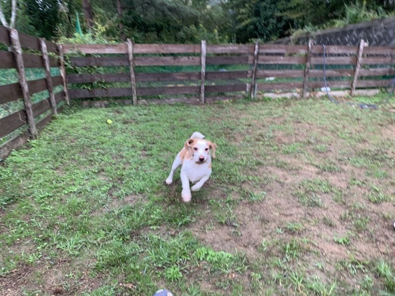 f:id:roukenhome-ann:20191008195641j:plain