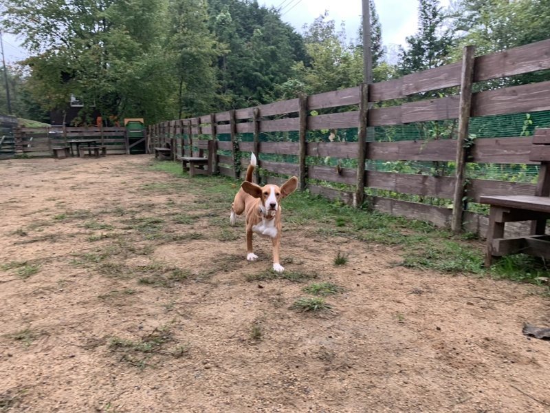 f:id:roukenhome-ann:20191008195653j:plain