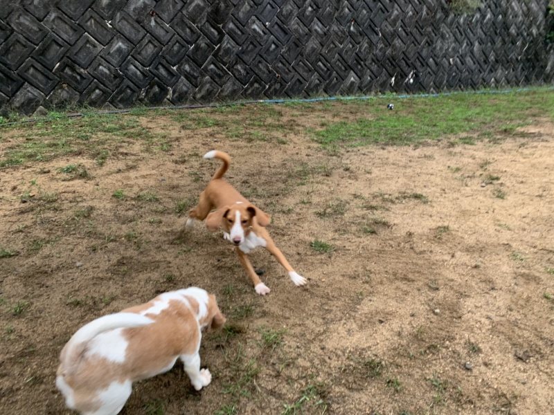 f:id:roukenhome-ann:20191008195717j:plain