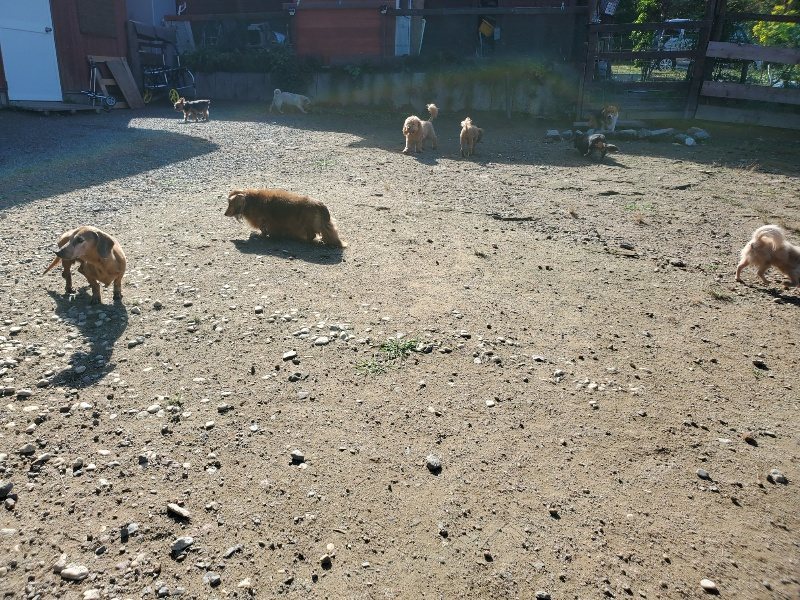 f:id:roukenhome-ann:20191009162009j:plain