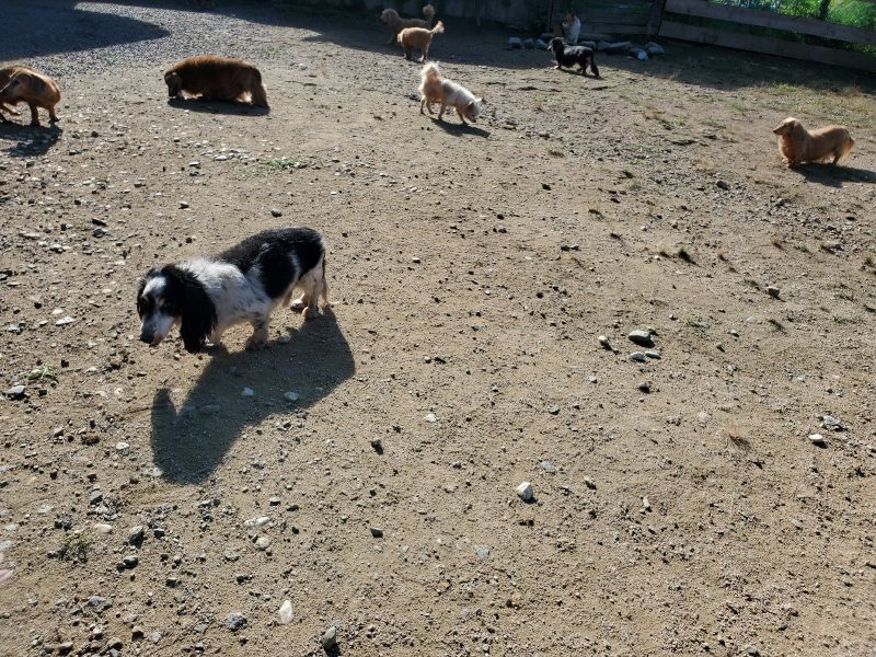 f:id:roukenhome-ann:20191009162018j:plain