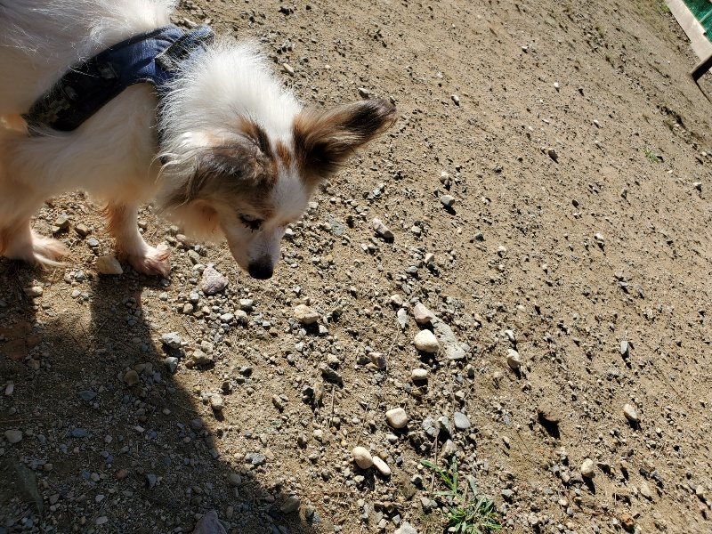 f:id:roukenhome-ann:20191009162028j:plain