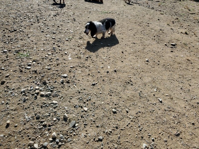 f:id:roukenhome-ann:20191009162036j:plain