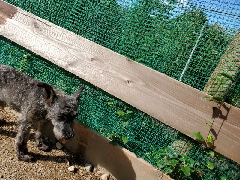 f:id:roukenhome-ann:20191009162229j:plain