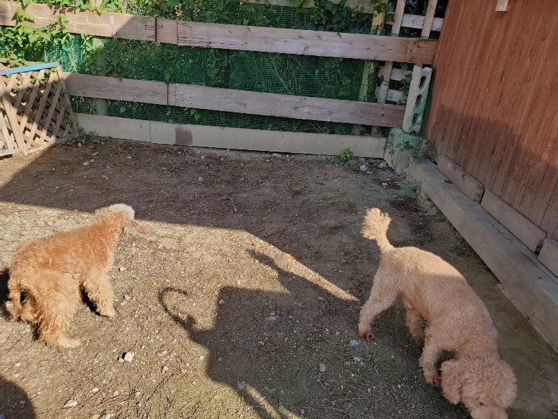 f:id:roukenhome-ann:20191009162247j:plain