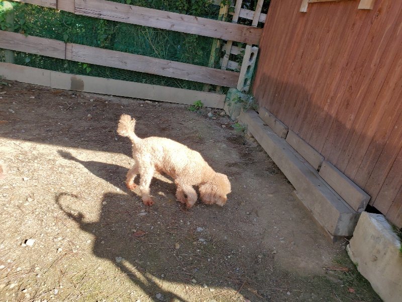 f:id:roukenhome-ann:20191009162253j:plain