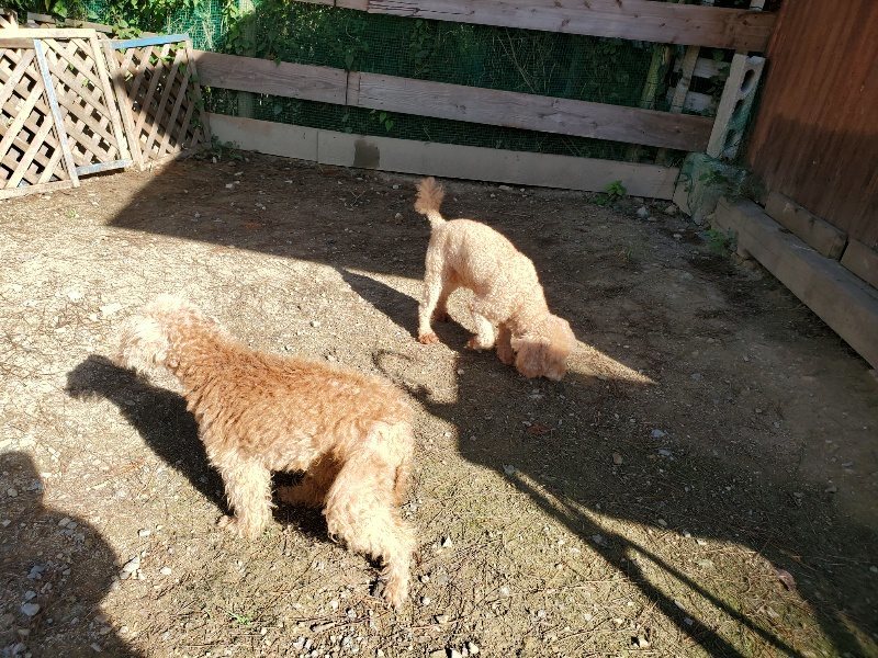 f:id:roukenhome-ann:20191009162311j:plain