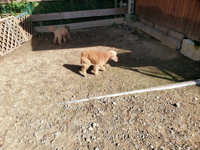 f:id:roukenhome-ann:20191009162342j:plain