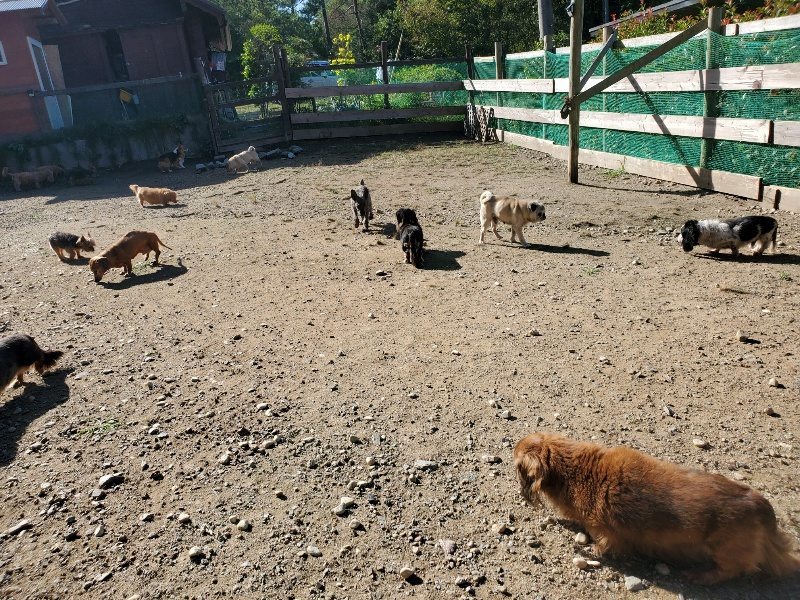 f:id:roukenhome-ann:20191009162426j:plain