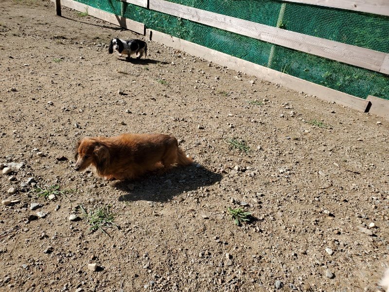 f:id:roukenhome-ann:20191009162459j:plain