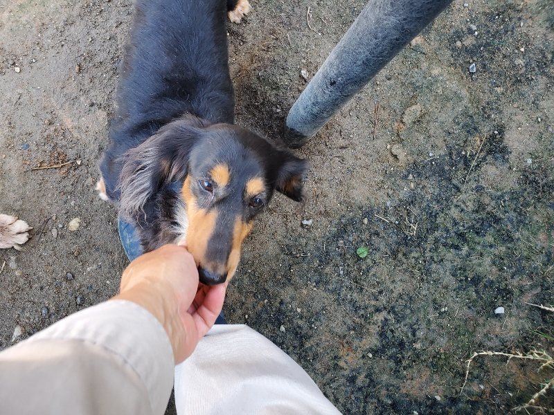 f:id:roukenhome-ann:20191009163329j:plain