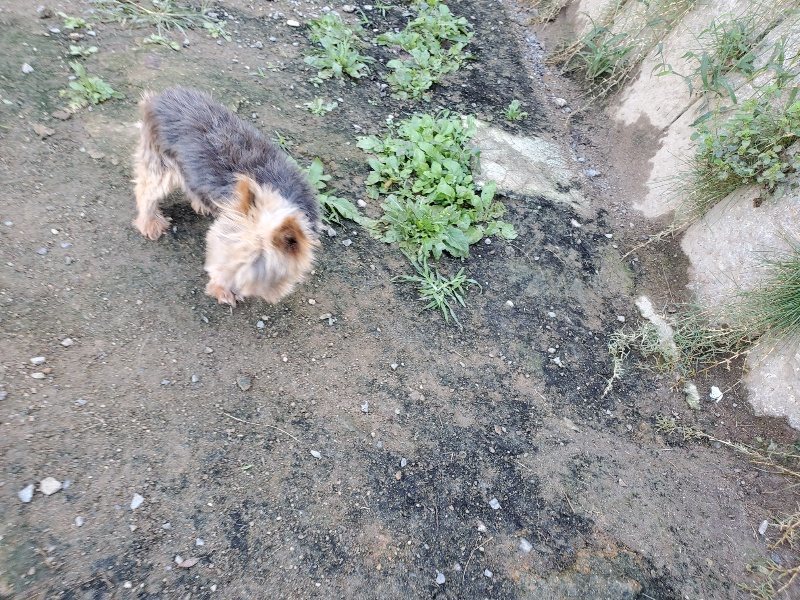 f:id:roukenhome-ann:20191009163335j:plain
