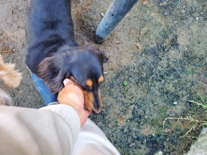 f:id:roukenhome-ann:20191009163341j:plain