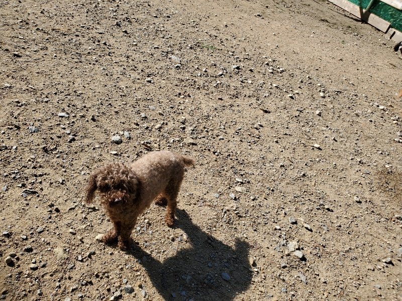 f:id:roukenhome-ann:20191009163357j:plain