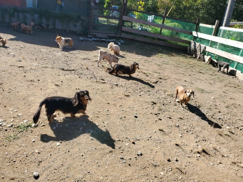 f:id:roukenhome-ann:20191009163425j:plain