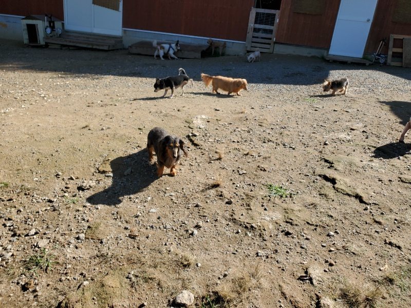 f:id:roukenhome-ann:20191009163502j:plain
