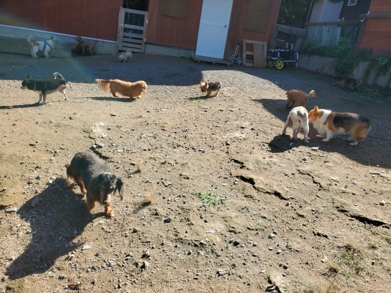 f:id:roukenhome-ann:20191009163521j:plain
