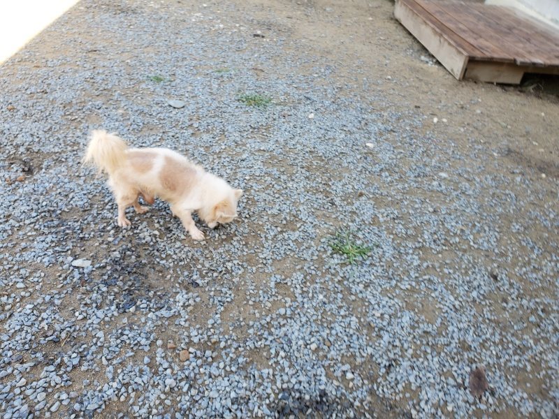 f:id:roukenhome-ann:20191009163730j:plain
