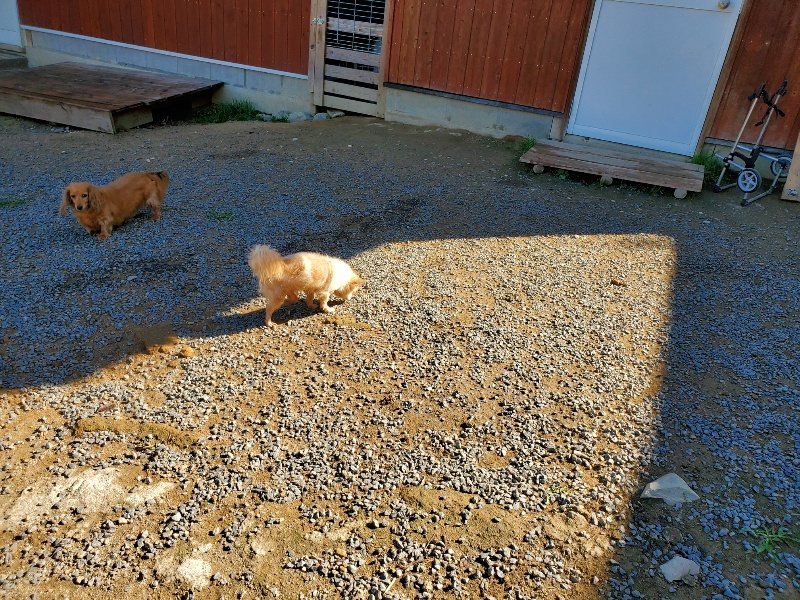 f:id:roukenhome-ann:20191009163804j:plain