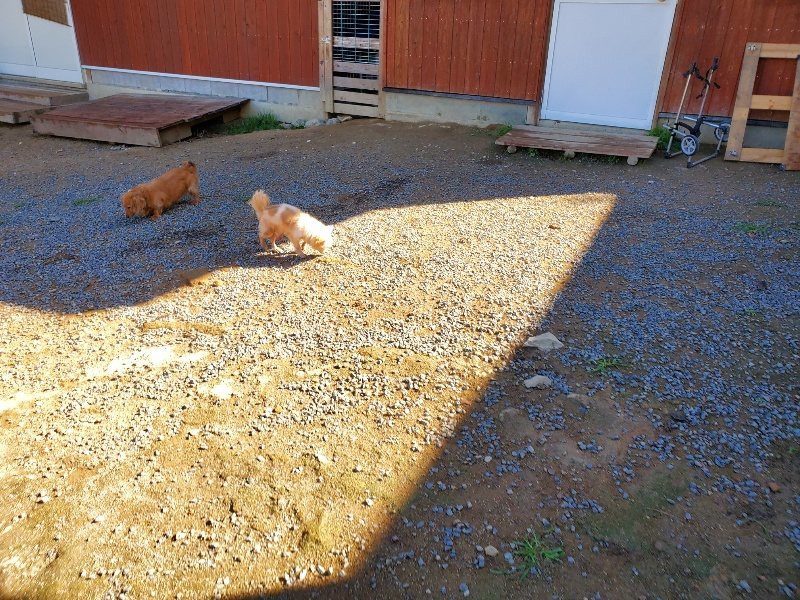 f:id:roukenhome-ann:20191009163834j:plain