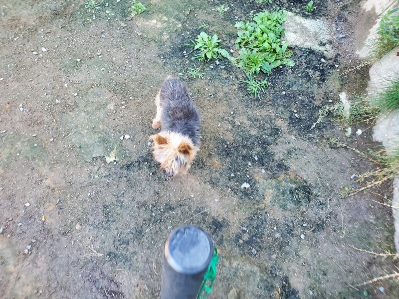 f:id:roukenhome-ann:20191009163843j:plain