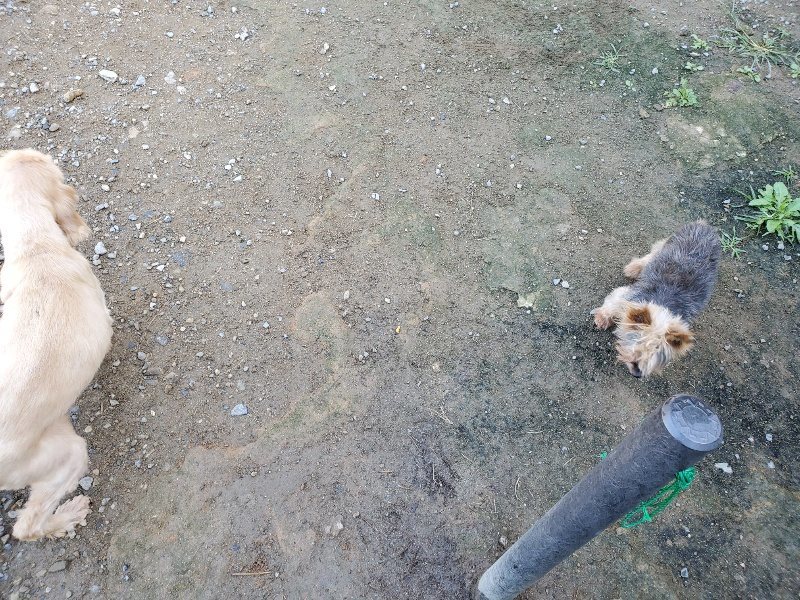 f:id:roukenhome-ann:20191009163852j:plain