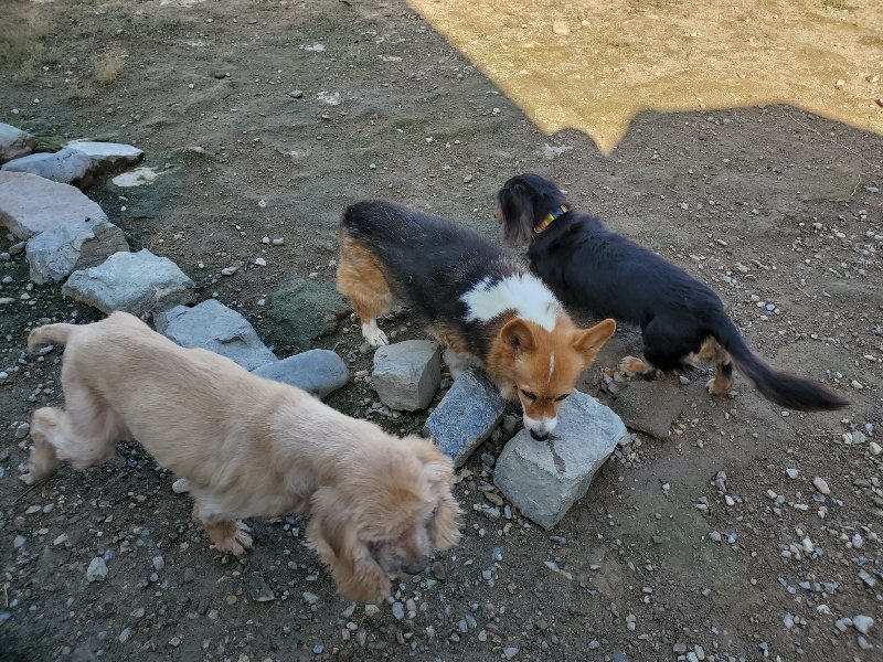 f:id:roukenhome-ann:20191009163859j:plain