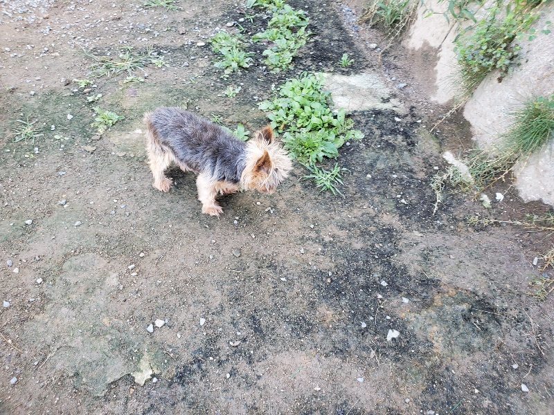 f:id:roukenhome-ann:20191009163939j:plain