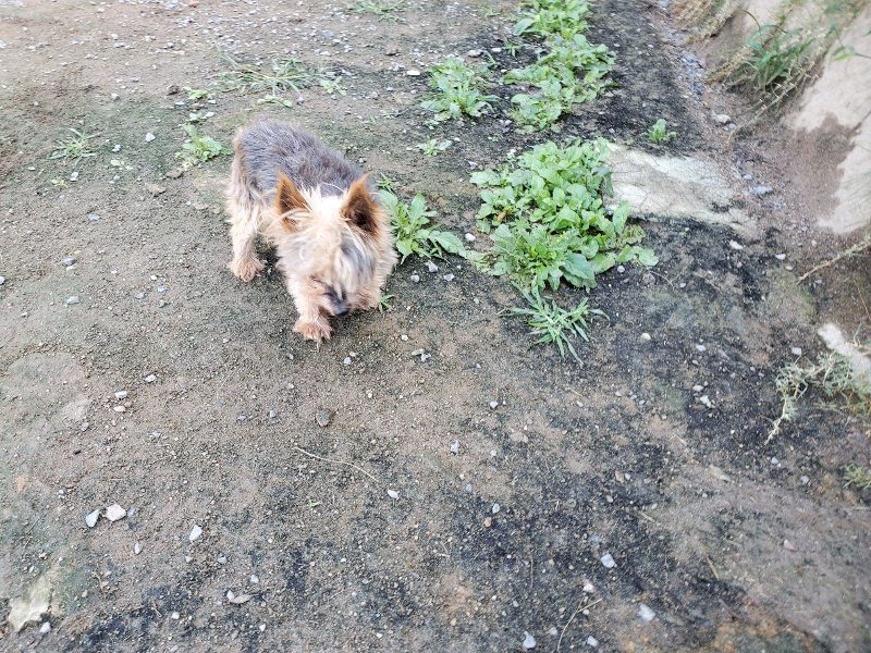 f:id:roukenhome-ann:20191009163957j:plain