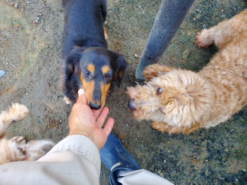 f:id:roukenhome-ann:20191009164134j:plain