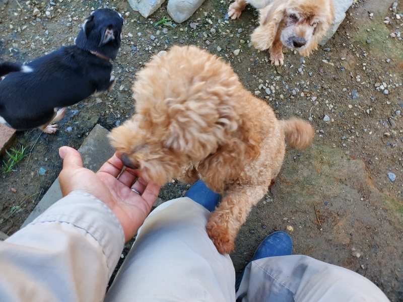 f:id:roukenhome-ann:20191009164157j:plain