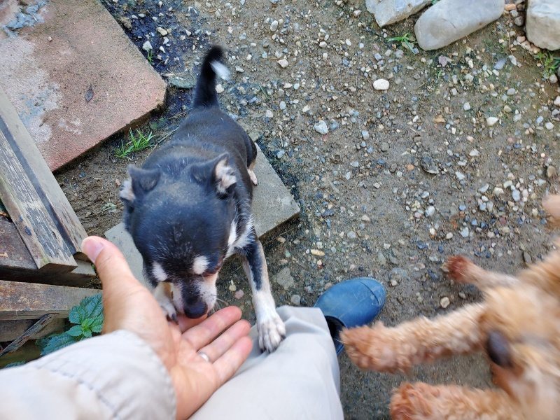 f:id:roukenhome-ann:20191009164213j:plain