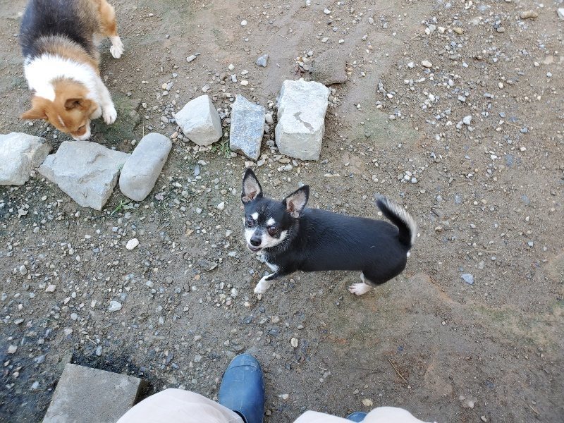 f:id:roukenhome-ann:20191009164256j:plain