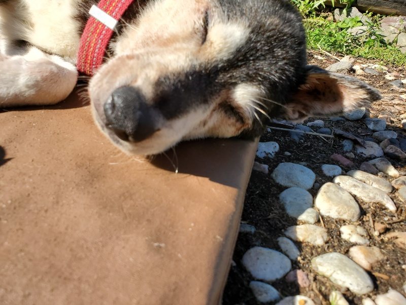 f:id:roukenhome-ann:20191009164310j:plain