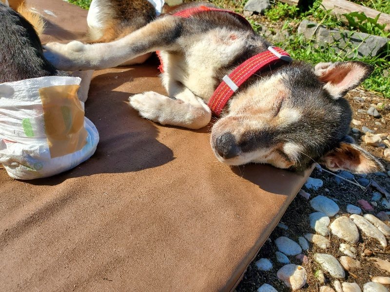 f:id:roukenhome-ann:20191009164339j:plain