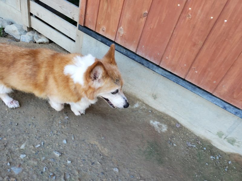 f:id:roukenhome-ann:20191009164822j:plain