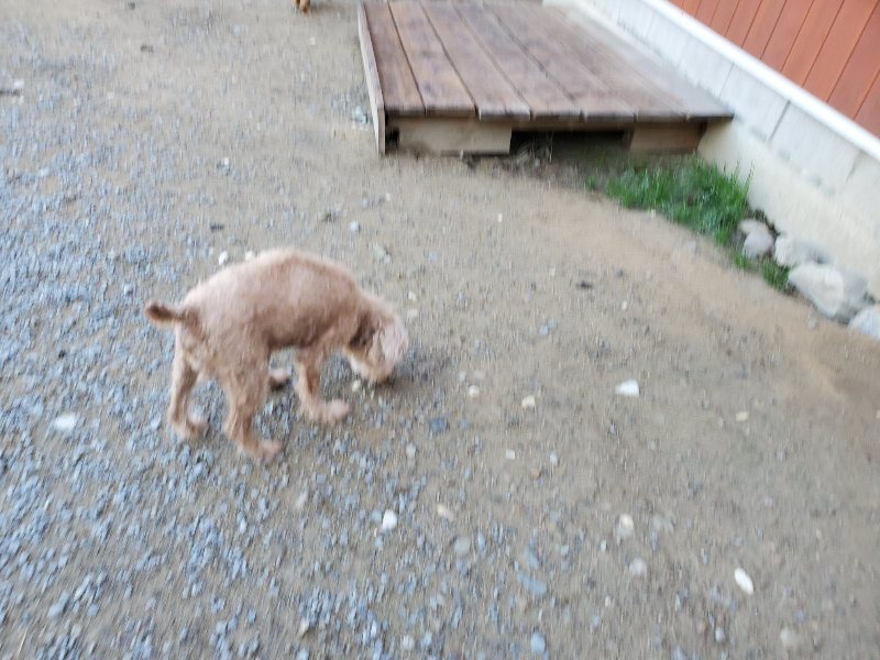 f:id:roukenhome-ann:20191009164830j:plain