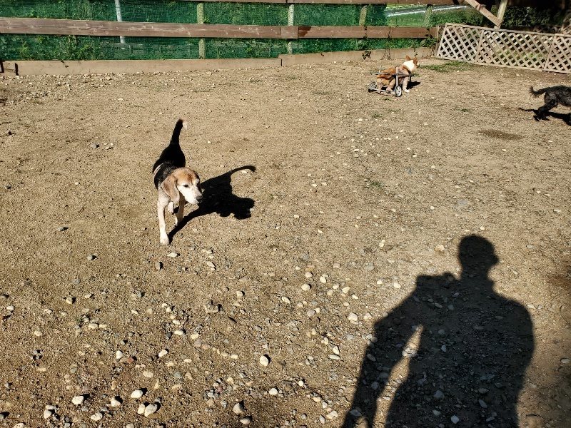 f:id:roukenhome-ann:20191009164853j:plain