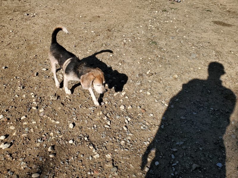f:id:roukenhome-ann:20191009164914j:plain