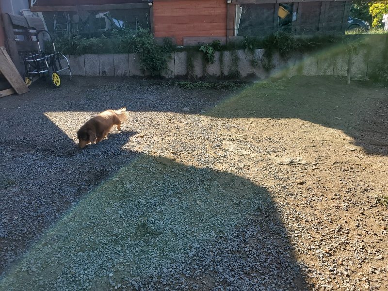 f:id:roukenhome-ann:20191009164946j:plain
