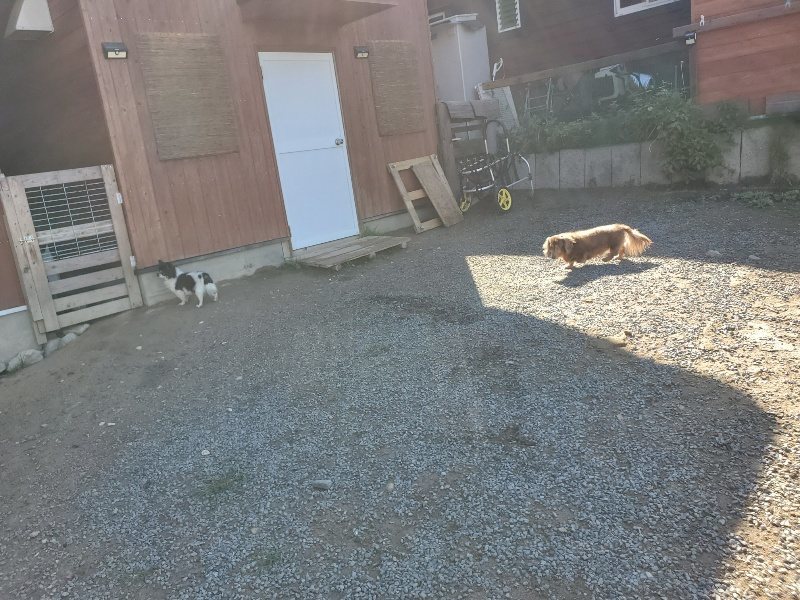 f:id:roukenhome-ann:20191009164955j:plain