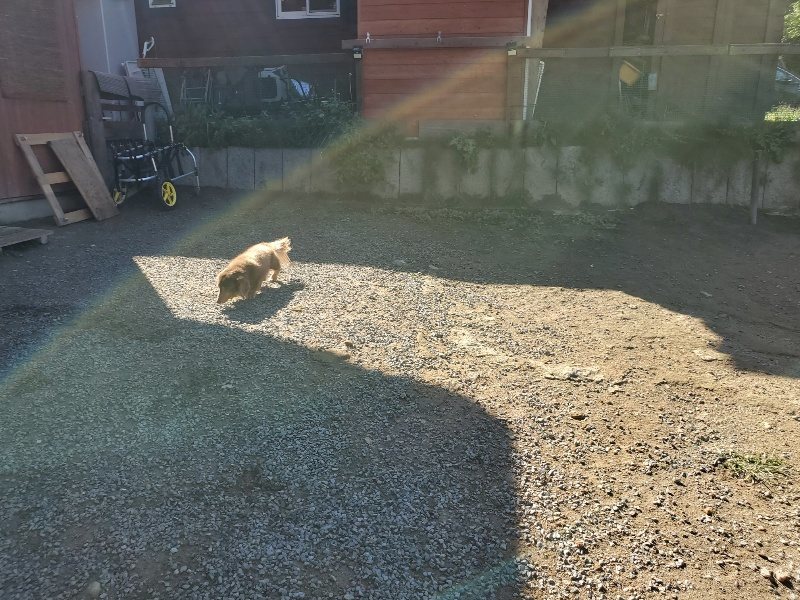 f:id:roukenhome-ann:20191009165002j:plain