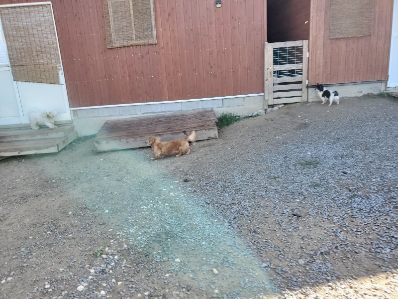 f:id:roukenhome-ann:20191009165008j:plain