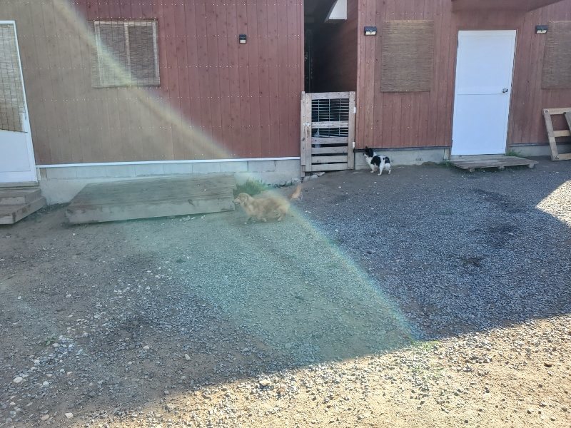 f:id:roukenhome-ann:20191009165023j:plain