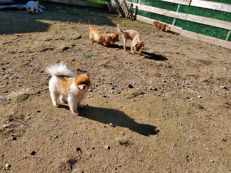 f:id:roukenhome-ann:20191009165213j:plain