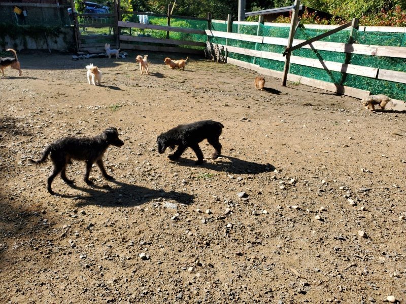 f:id:roukenhome-ann:20191009165250j:plain