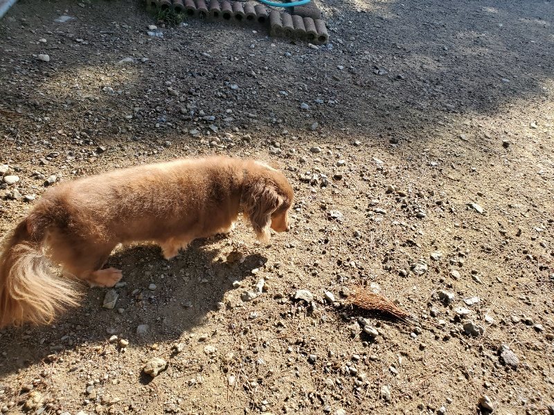 f:id:roukenhome-ann:20191009165324j:plain