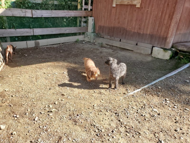 f:id:roukenhome-ann:20191009165330j:plain